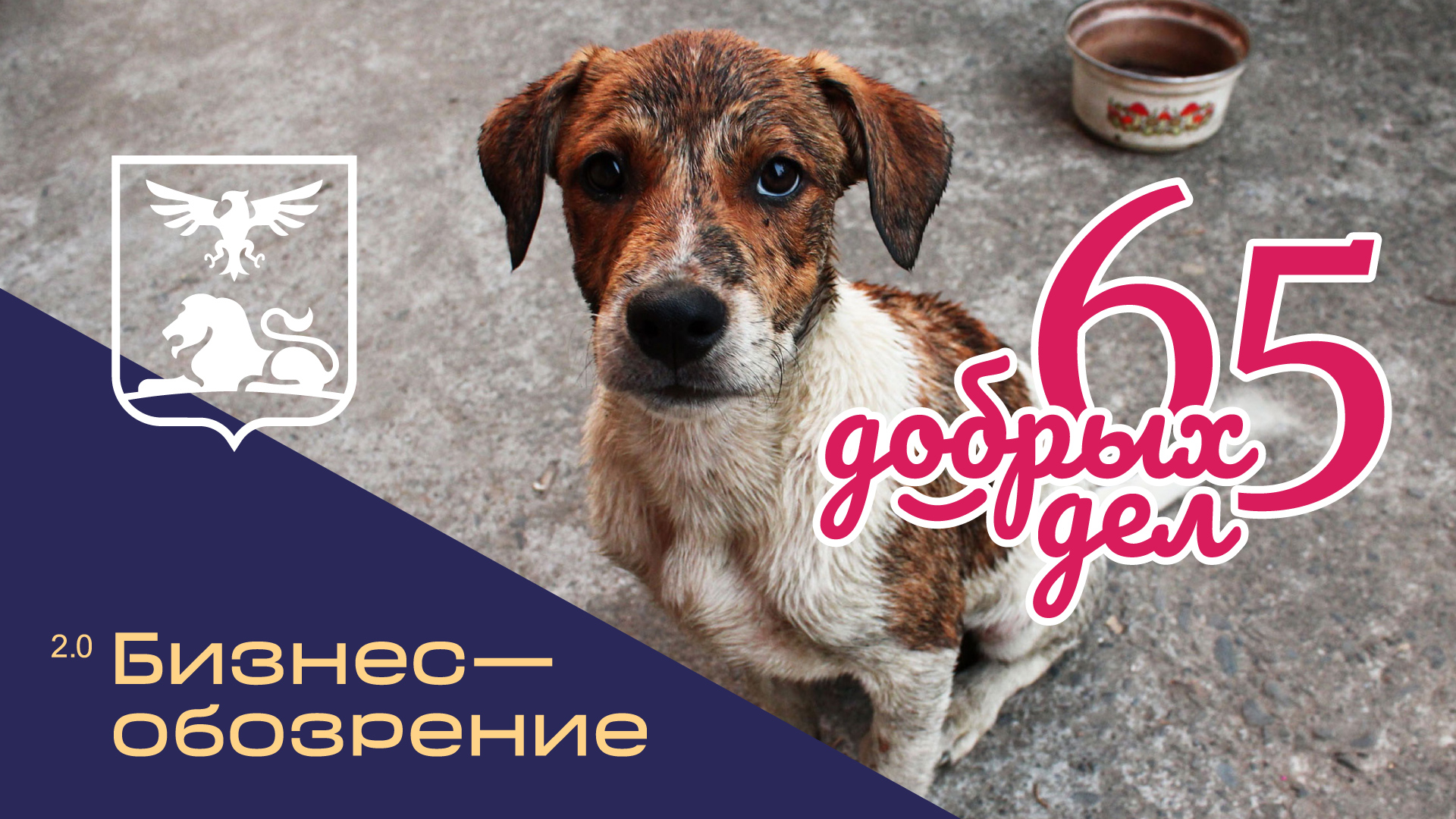 65 добрых дел смотреть онлайн