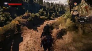 Ведьмак 3. Ведьмачья кузница. Скрытые квесты - Каэр Морхен.