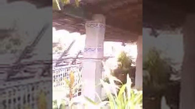 Pasukan lundu2 bos sukok смотреть онлайн