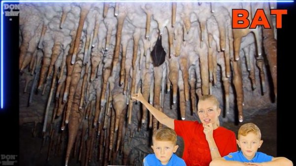 Discover Jungle Animals - Learn Jungle Animal Names for Kids in English ❤️ Chameleon, Panda, Bat