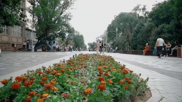 Главная ценность смотреть онлайн