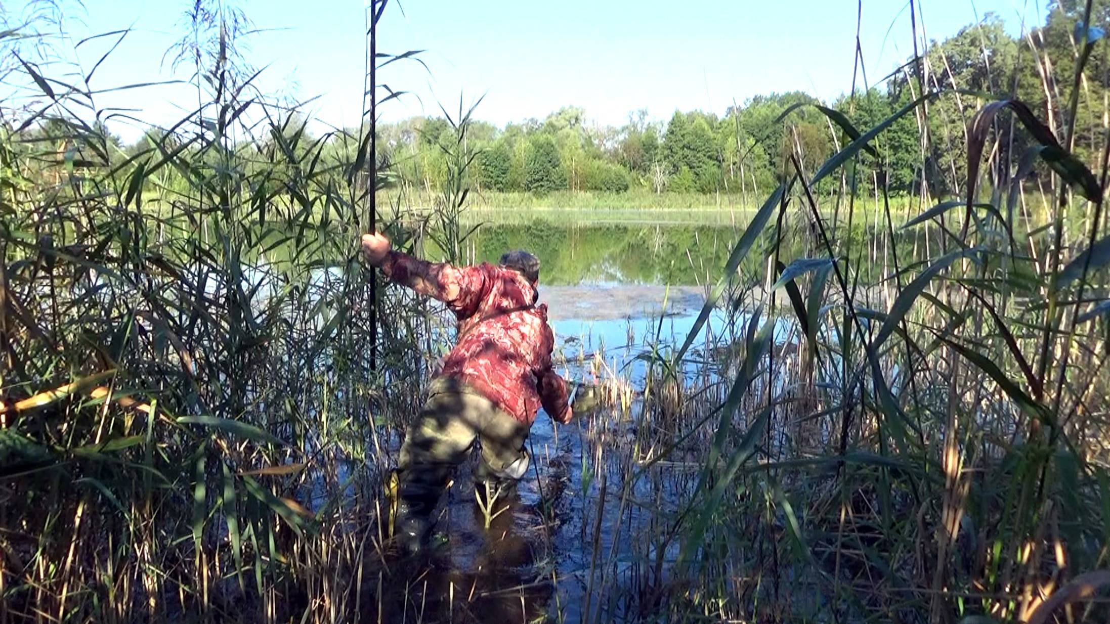 Рыбалка в августе на линя - рыбы порвали мне все снасти..Неплохая рыбалка в траве смотреть онлайн