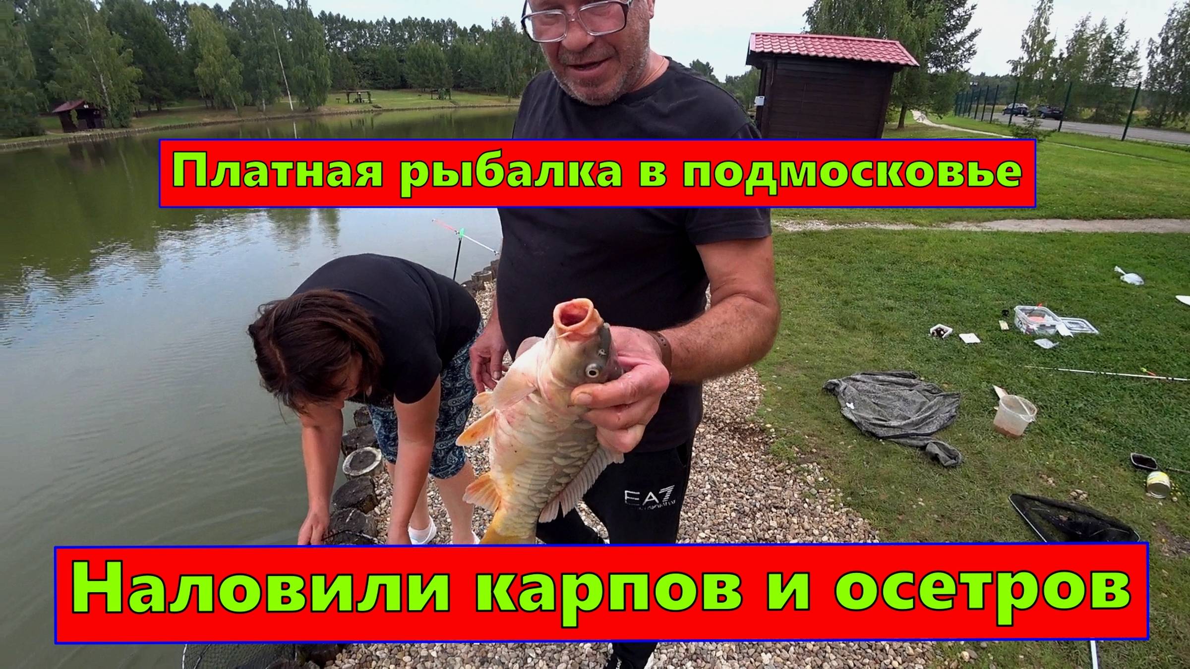 Рыбалка в подмосковье. Золотой Сазан смотреть онлайн