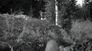 Солдат и слон