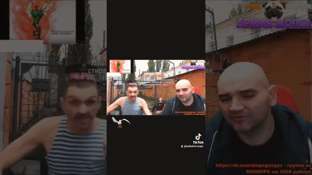 История про торпеду МОПСА 🚨 #мопсдядяпёс #мопсстрим#трешстримы смотреть онлайн