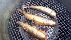 самодельная коптильня из бака(копчение рыбы и курицы)