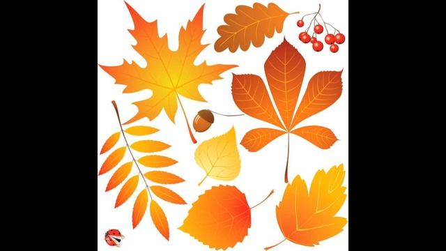 Задание 17. Деревья и его части. Словоизменение смотреть онлайн