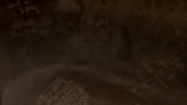 Каллиграфия арабского языка. Надписи и орнаменты