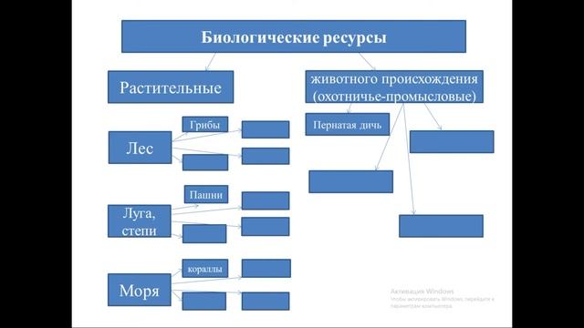 Русский язык и литература 9 класс. Урок 24. Тема урока: «Экос» значит дом смотреть онлайн