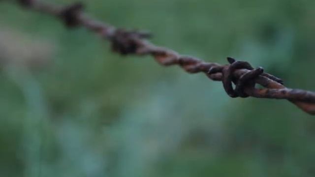 Nikon D60 photos смотреть онлайн