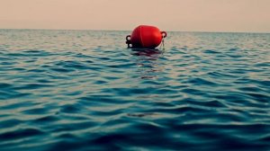 Почему нельзя заплывать за буйки?