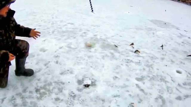 Окунь на свободе. смотреть онлайн