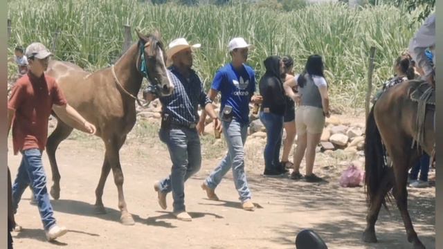 La prieta de los Quintero 2020 смотреть онлайн