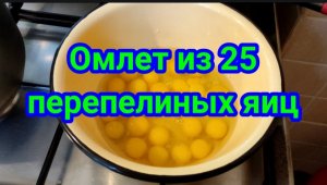 Омлет из 25 перепелиных яиц