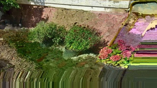 Начало октября в Киеве, 02.10.2021. Будут ли грибы? смотреть онлайн