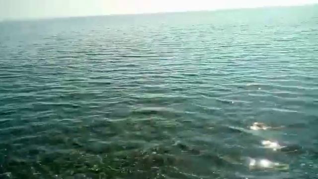 Гостевой дом ДонБас, Солнечногорское, Крым Пляж р н пансионата Рассвет Съемка от 26 09 2020 г смотреть онлайн