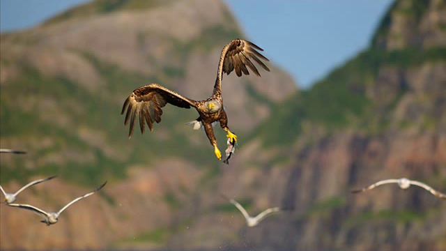 Coupe Olya lya lya смотреть онлайн