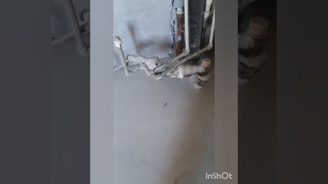 Ремонт Кухни.Штукатурка Шпаклёвка Плитка Наливной пол.Kitchen Renovation.Plaster Putty Tile. #Short смотреть онлайн