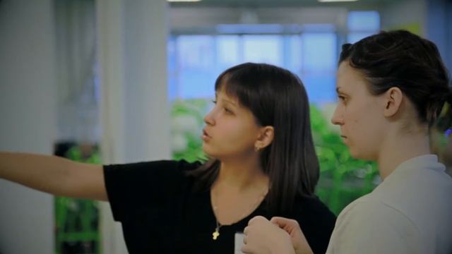 Оформление воздушными шарами. Гирлянда из шаров. Стильный шар. смотреть онлайн