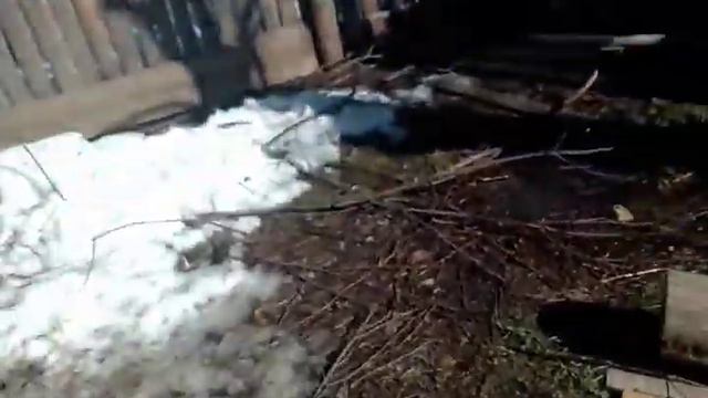 Мы огромная семья! смотреть онлайн
