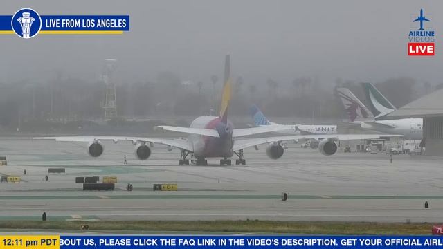 ?LIVE Plane Spotting at Los Angeles International Airport LAX смотреть онлайн