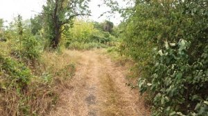 Вечерняя покатушка Краснодар, Эндуро kews nb 300