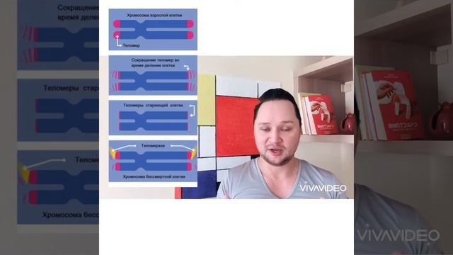 Качество сна смотреть онлайн