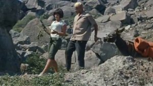 Где то на белом свете