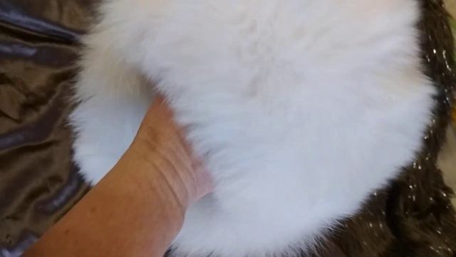 шапка ушанка 100% натуральная кожа отличного качества , натуральный мех песца продажа. смотреть онлайн