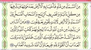 Шейх Айман Сувейд Сура Бакара стр 25