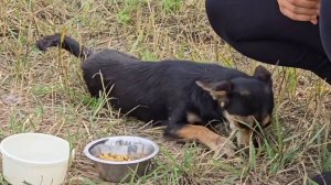 Проехав 200 км в Сторону Москвы, мы остановились и случайно увидели вот такое чудо.