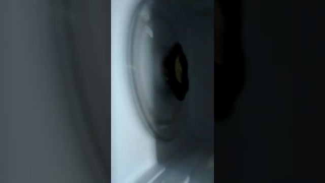 Что будет с лемон если его засунуть в микровалновку смотреть онлайн