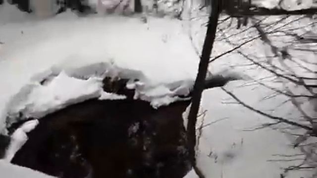 Прогулка на буране!! смотреть онлайн