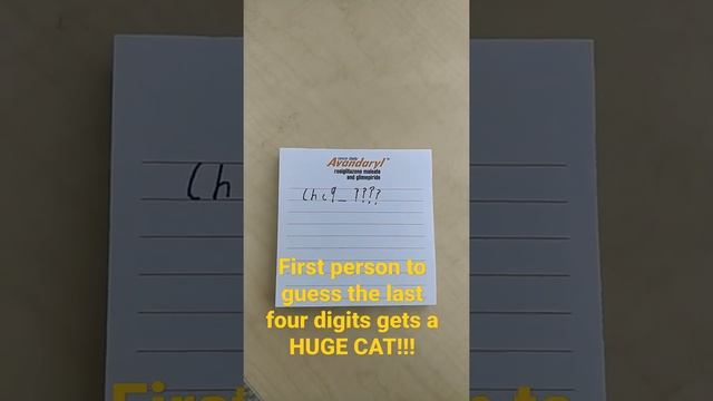 First person to guess the last four digits gets the huge cat code!!!! Subscribe!! (Pet simulator X) смотреть онлайн