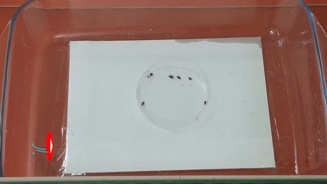 Архитектурные Размышления