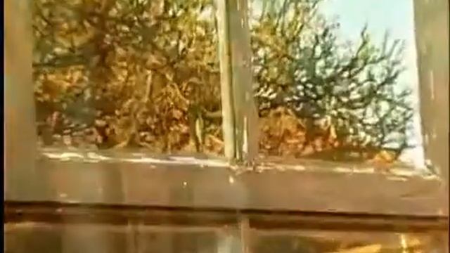 IRWIN - ножи для людей!