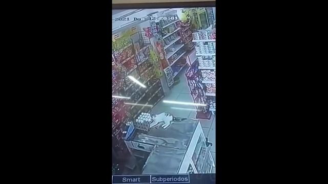приколы 2023 #52 смотреть онлайн