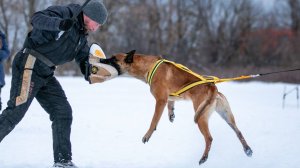 Шлейка для "кусачки".
