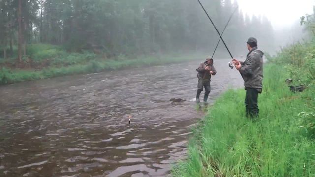 Рыбалка ловля хариуса смотреть онлайн