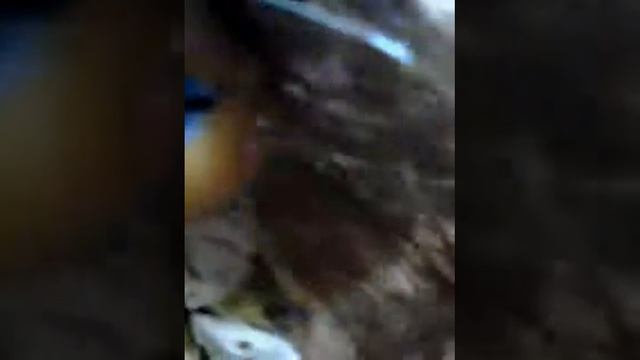 награждение самая лучшая кукла беби бон смотреть онлайн
