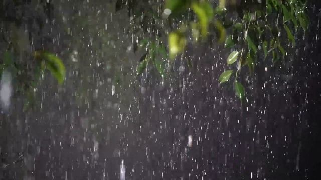 Шум дождя для сна. Heavy rain and thunderstorm sounds in tropical forest Rain смотреть онлайн