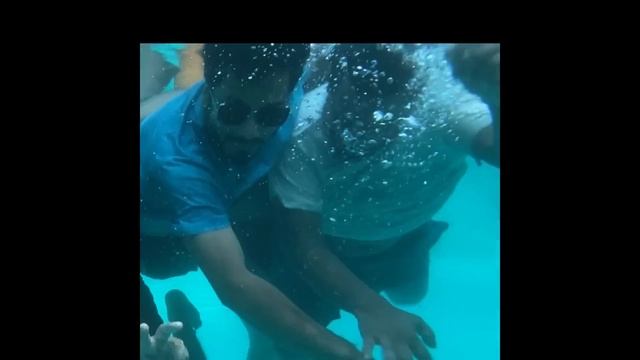 Online Exam Cancelled - Bros Under Water смотреть онлайн