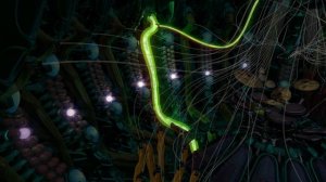 AniMusic - 7 Fiber Bundles