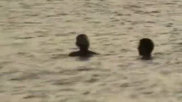 Пустынный пляж на Азове