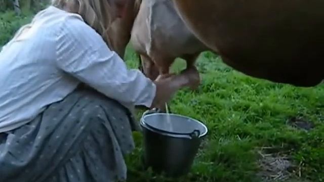Cows Milk, Cow Milk, Milking Cow