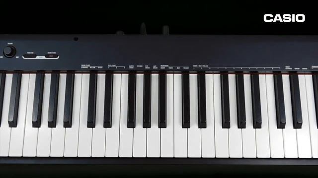 Piano Electrico Casio CDP-S100