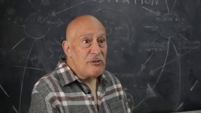 Shinzen Young Interview // AMA with r/StreamEntry #mindfulness #meditation #streamentry смотреть онлайн