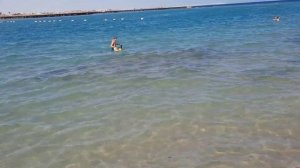 ЕГИПЕТ/ Pickalbatros Jungle Aqua Park Resort-Neverland Hurghada/ ноябрь/Дорога на море