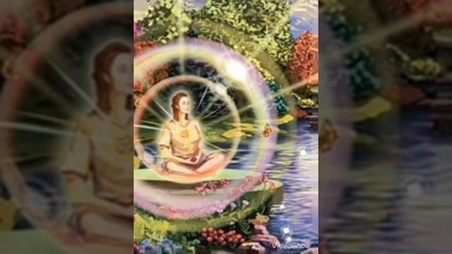 Метта-медитация «любящей доброты» смотреть онлайн