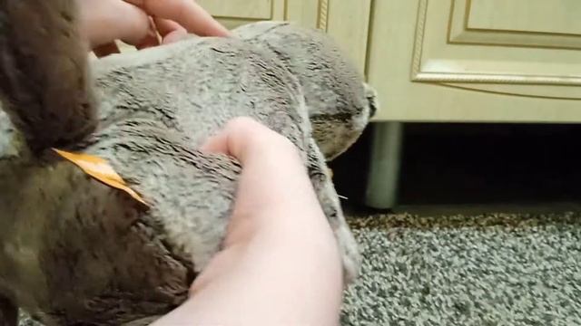 Распаковка Басик в рыжем бархатном банте смотреть онлайн